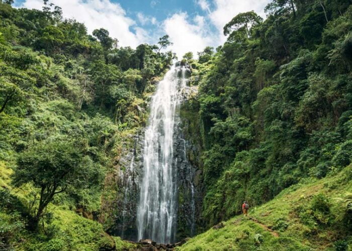 Materuni Waterfall & Coffee Tour