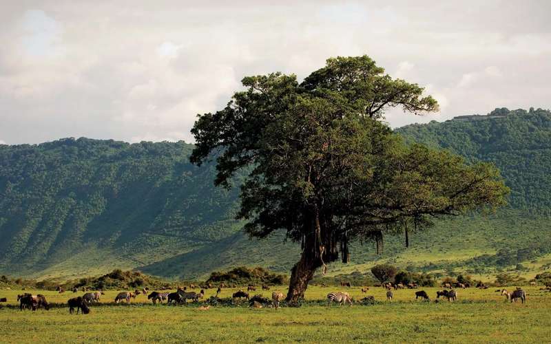 Explore the Beauty of Ngorongoro Crater