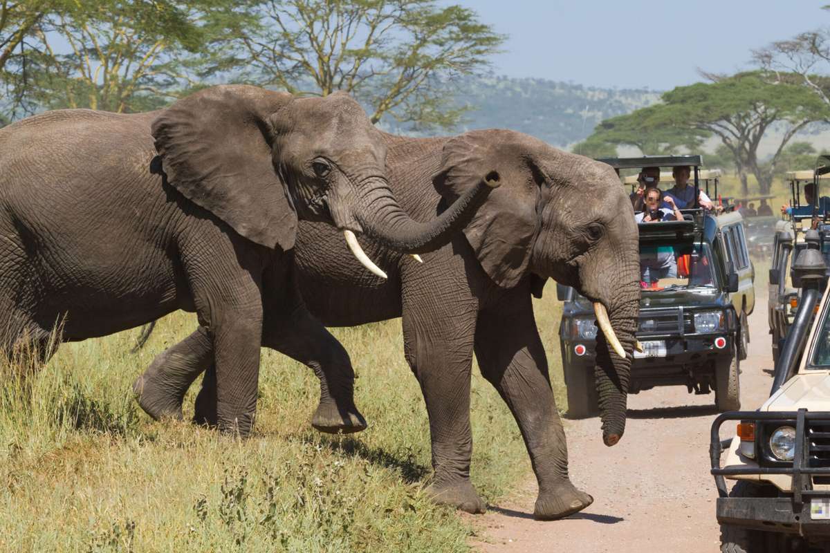 Adventure Safaris in Tanzania