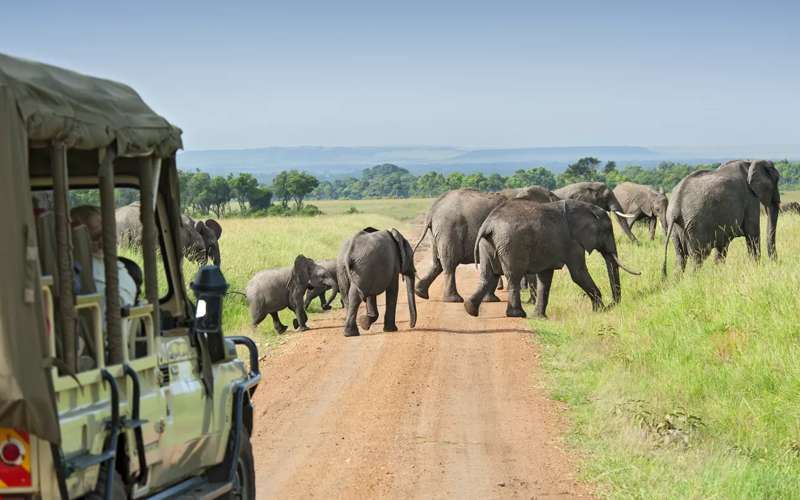 Adventure Safaris in Tanzania