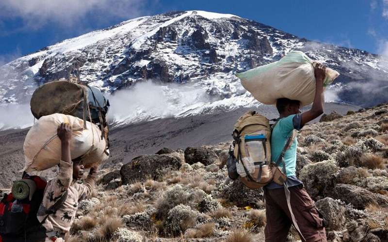 Explore the Northern Circuit Kilimanjaro Climb