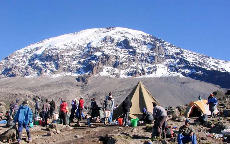 Explore the Northern Circuit Kilimanjaro Climb