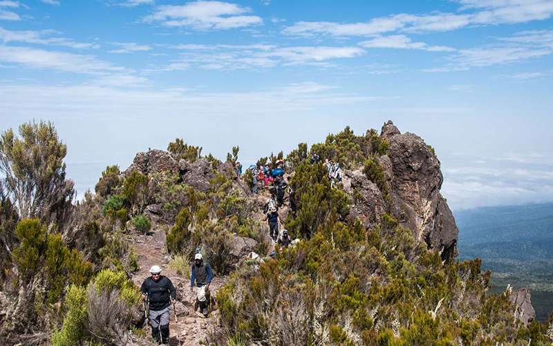 Explore the Northern Circuit Kilimanjaro Climb