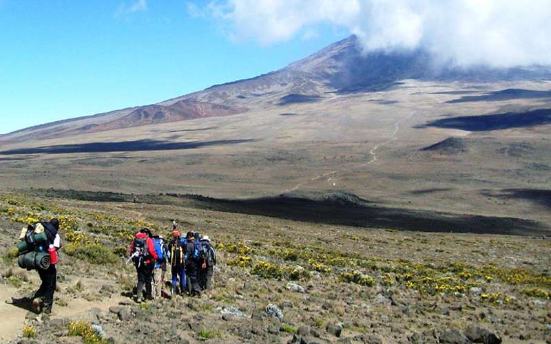 Explore the Northern Circuit: Kilimanjaro Climb