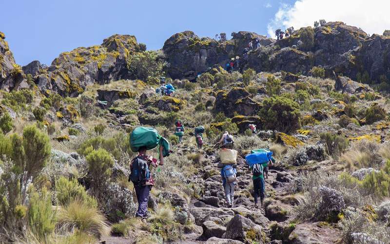 Hike the Marangu Route Kilimanjaro Expedition