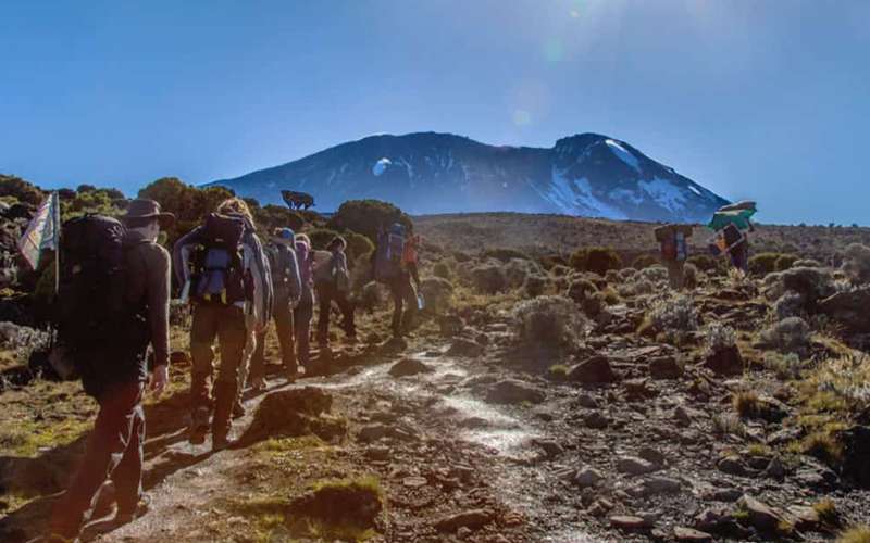 Trek the Challenging Umbwe Route