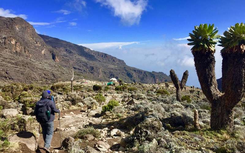 Trek the Machame Route Kilimanjaro Climb