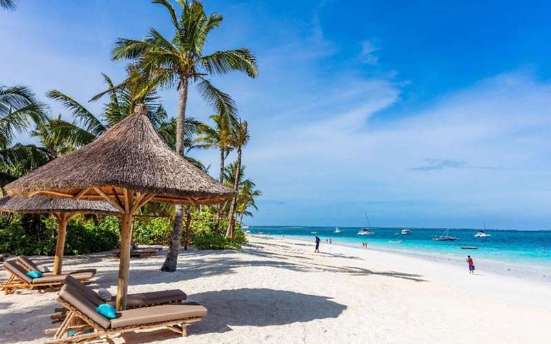 Discover the Best Beaches in Zanzibar