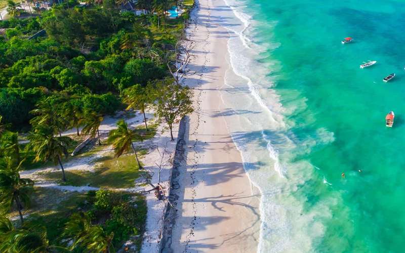 Discover the Best Beaches in Zanzibar