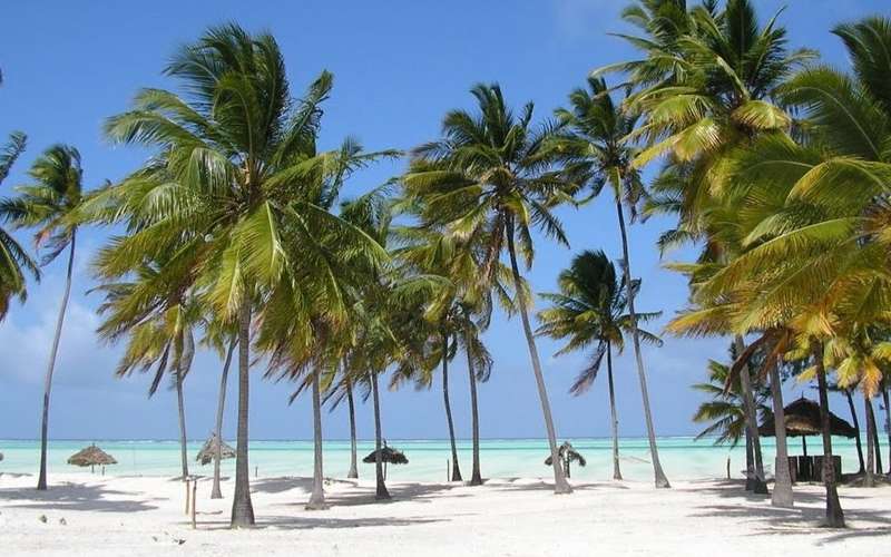 Top Beaches to Visit in Tanzania