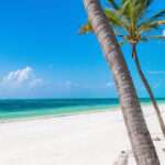 What Makes Zanzibar Beaches Unique