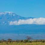 Trekking Mount Kilimanjaro What Climbers Should Know in 2024