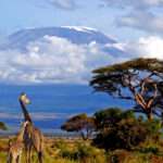 Countdown to 2025: Celebrate New Year with a Beach and Safari Combo in Tanzania