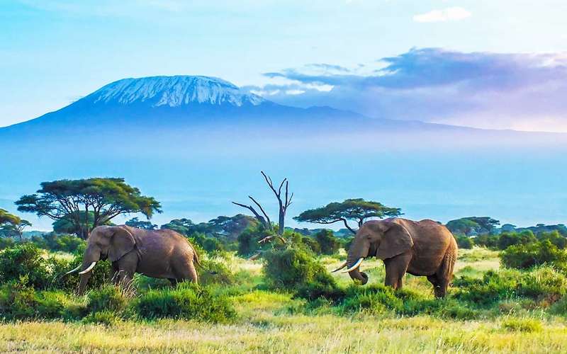 New Year, New Adventures: Why Tanzania is Perfect for 2025 Bucket Lists