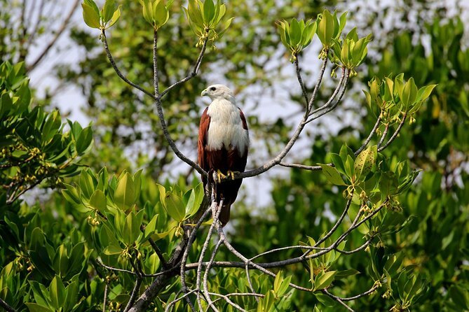 Bird Watching & Nature Walks
