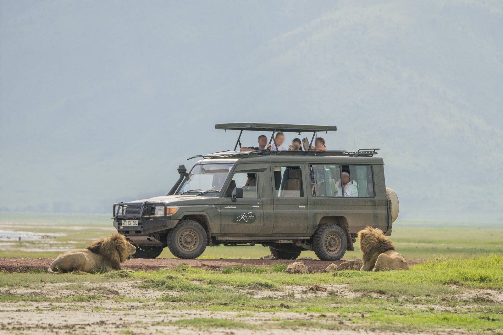 Closed_Vehicle_13-scaled