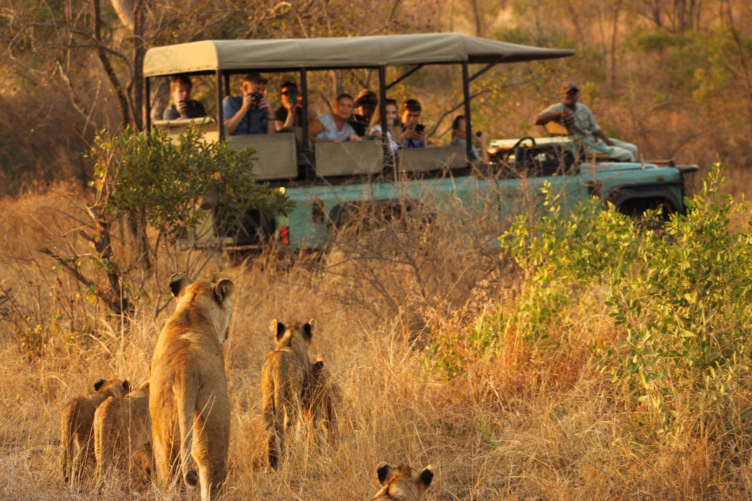 Game-Drive-1