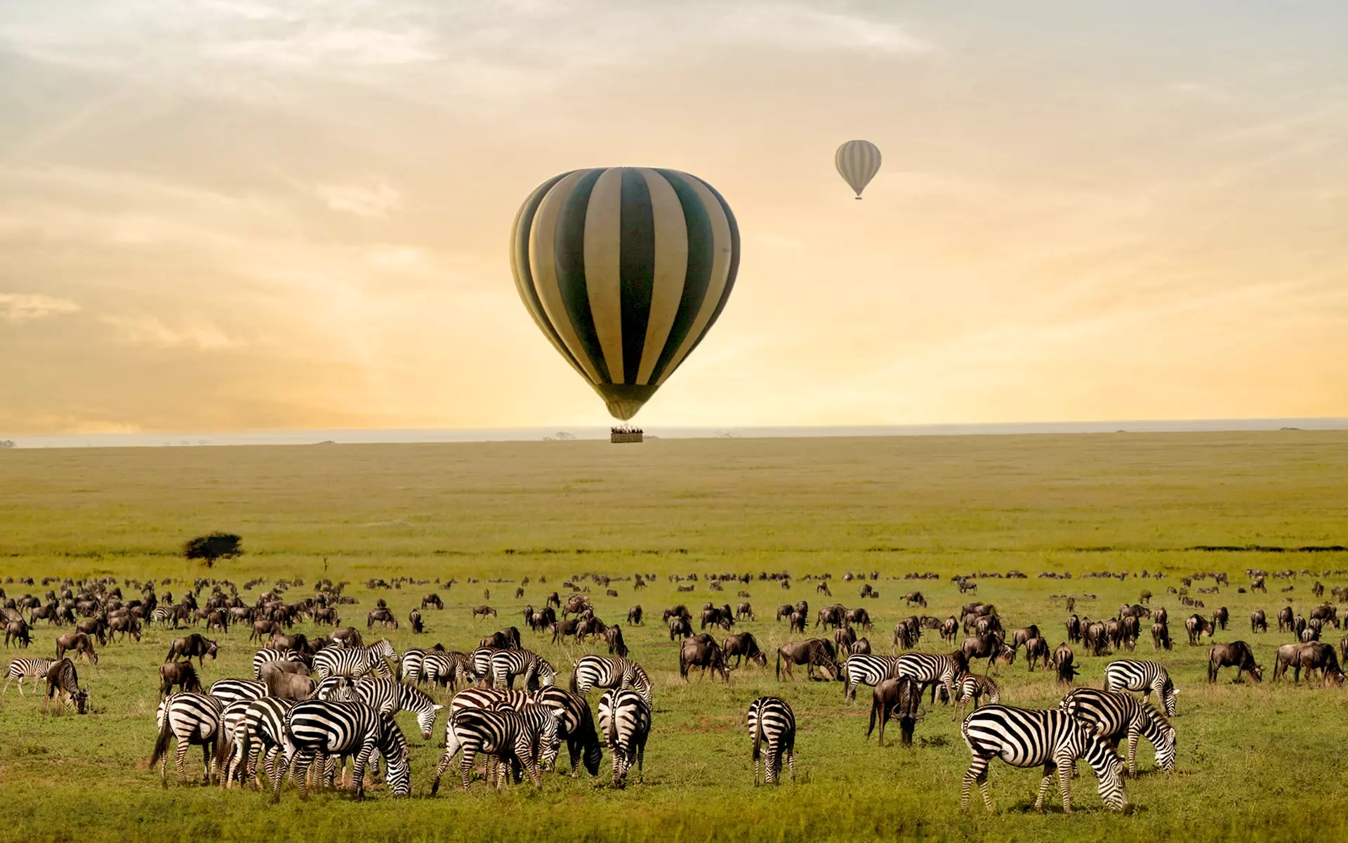 Serengeti-Balloon-Safari
