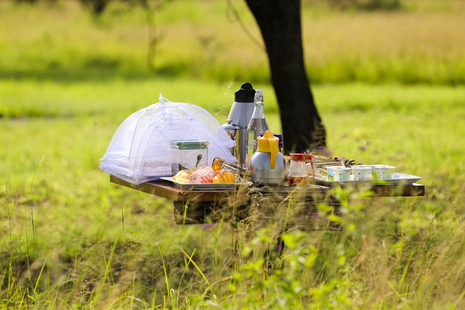 bush dining