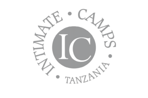 intimates logo W