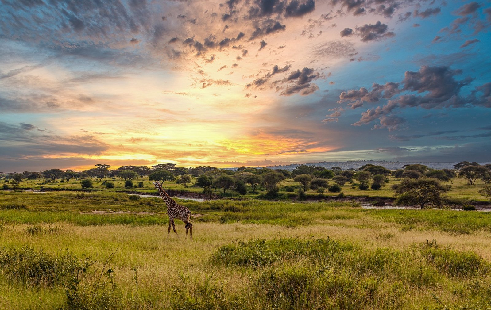 Tanzania-2710-January+18,+2020